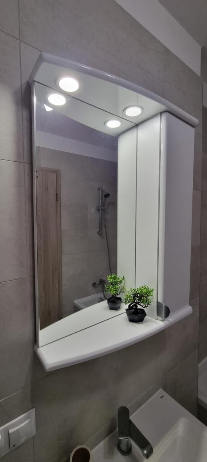 Coresi Business Apartment
